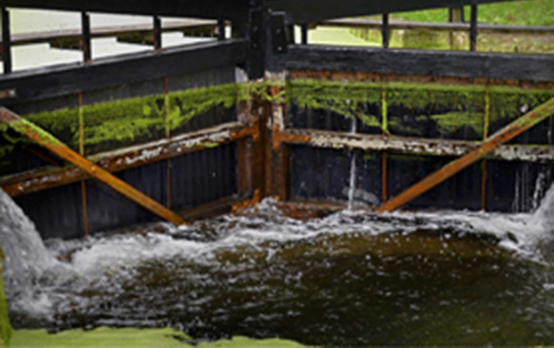 Read: Canal Lock in the Cotswolds