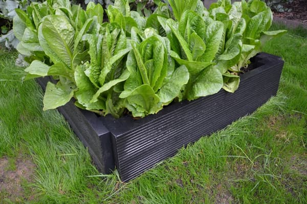 Raised Bed Product Image