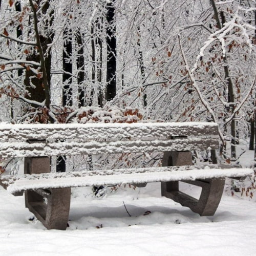 Moulded Backrest Bench Snowy Lifestyle 