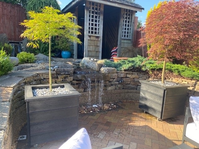 Planters with trees in garden