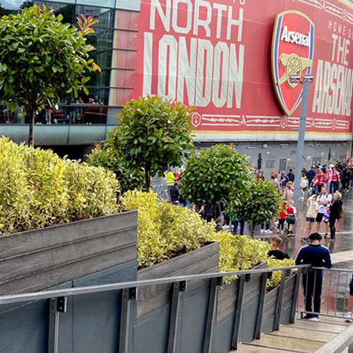 Arsenal Planter on steps