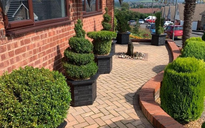 Hive planters outside a house