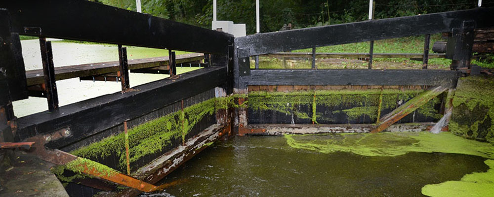 Restoration of Cotswold Canal lock gates
