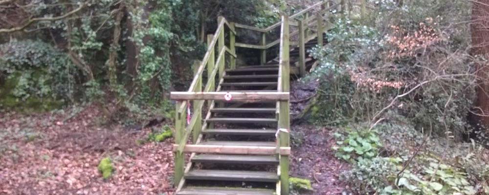 Plaswood group Anglesey stairway project