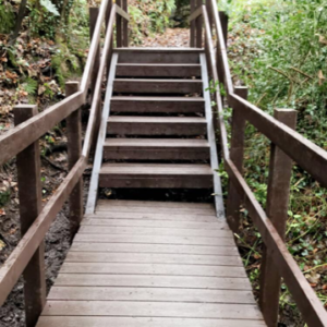 Plaswood recycled plastic Anglesey stairs