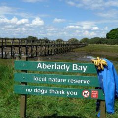 Plaswood recycled plastic signs green