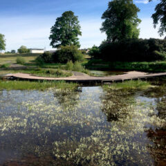 Popeye's Park Boardwalk in Dumfries