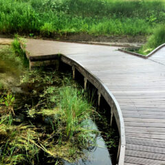 Popeye's Park Boardwalk in Dumfries