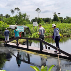 Plaswood recycled plastic bridge Indonesia