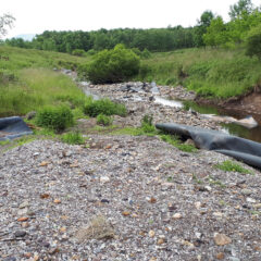 Plaswood Restoration Project River Keekle