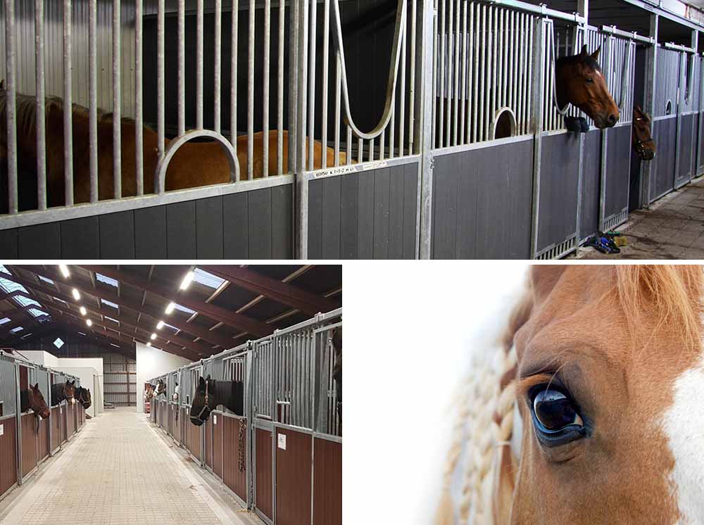 Plaswood products for equestrian sector