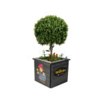 The Madame Cholet Planter side